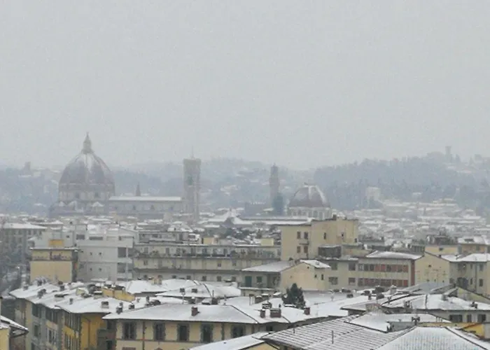 Il Nido Di Sofia